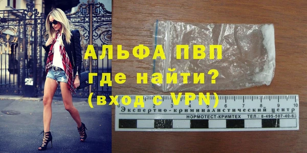 ECSTASY Вяземский