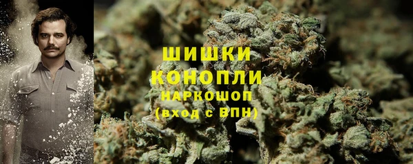 стафф Горнозаводск