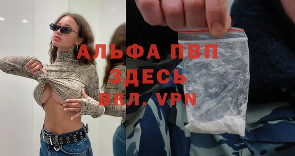стафф Горнозаводск