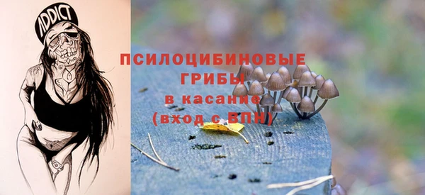ECSTASY Вяземский