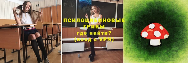 ECSTASY Вяземский
